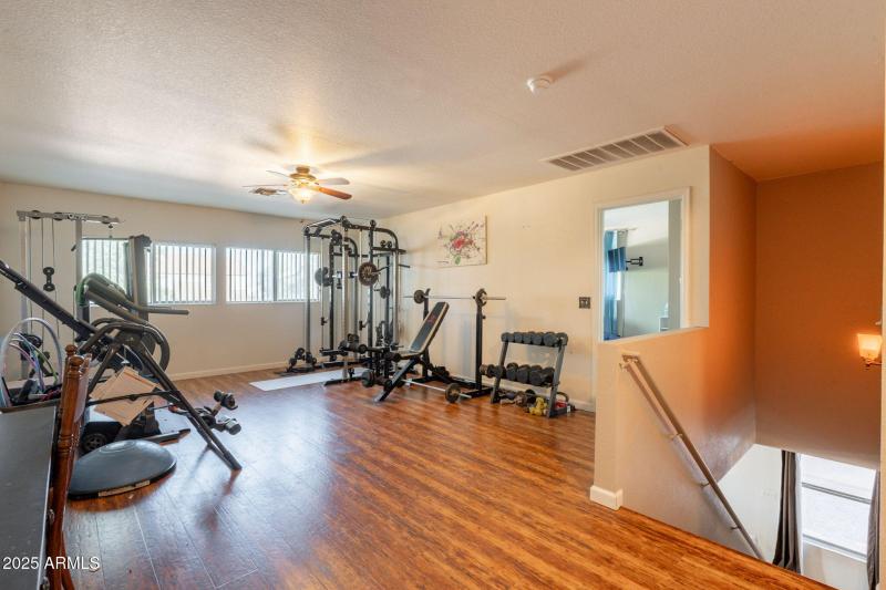 37-web-or-mls-Martingale-37