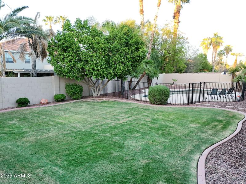 GRASSY AREA BACKYARD