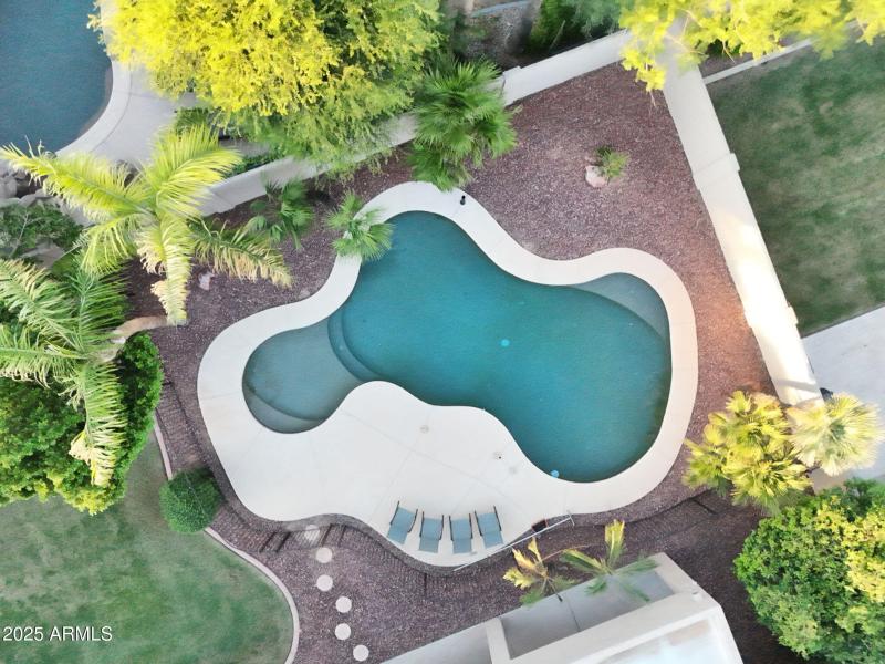 POOL OVERHEAD VIEW-DRONE