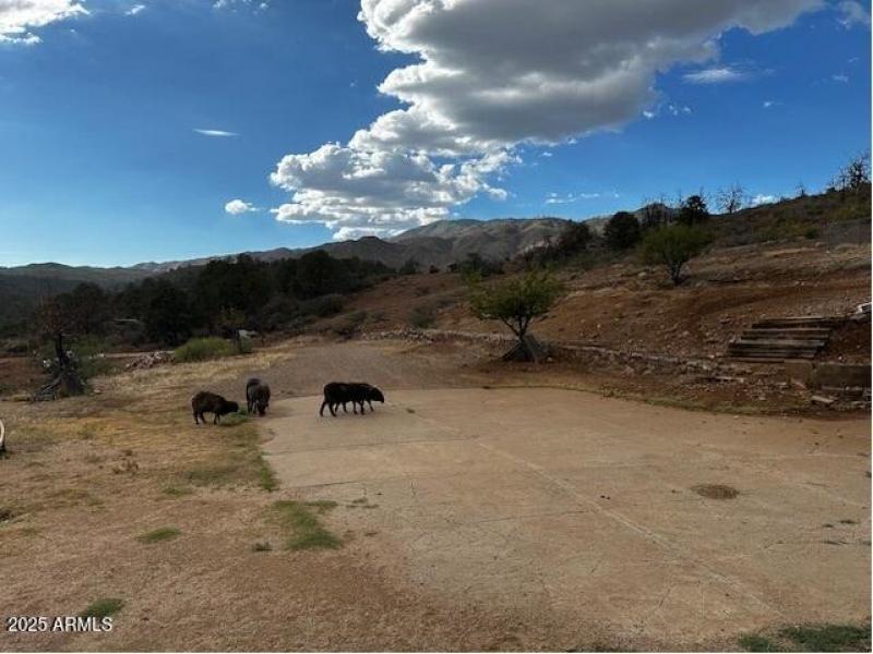 Driveway to the west