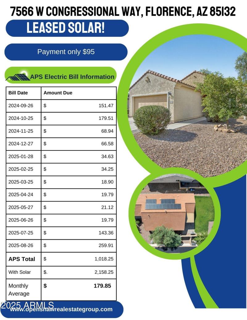 Congressional Solar Flyer