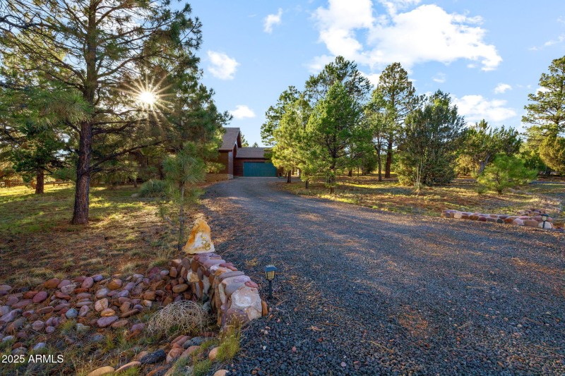 2758JaguarCir-Heber-AZ-37