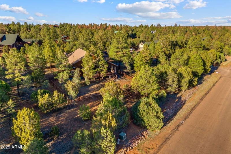 2758JaguarCir-Heber-AZ-38