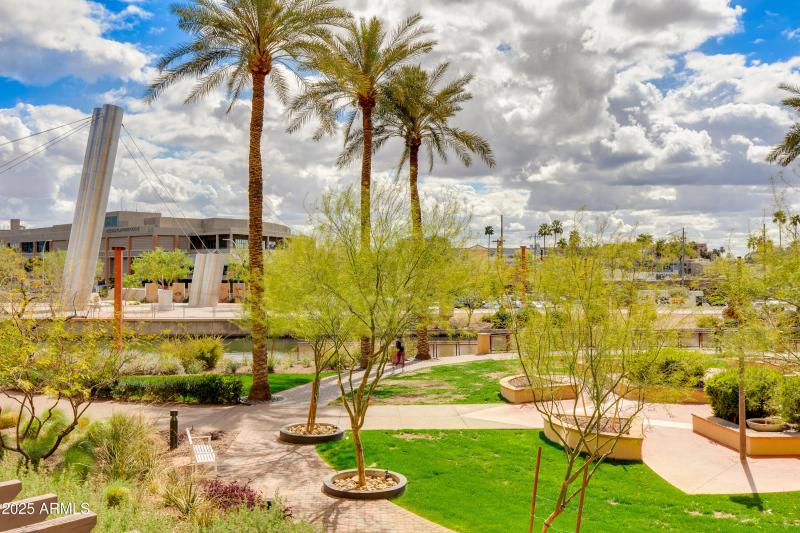 40-Camelback
