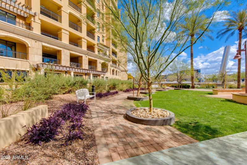 45-Camelback