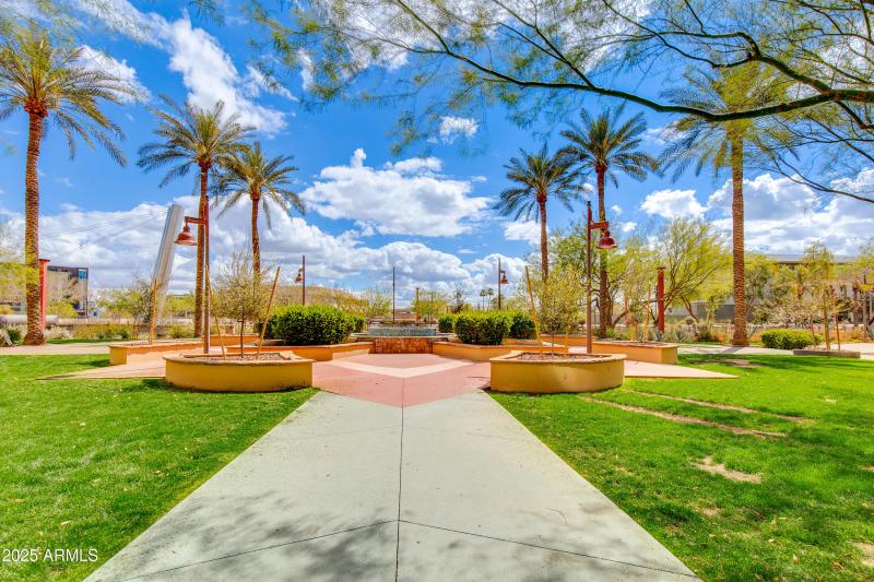 46-Camelback