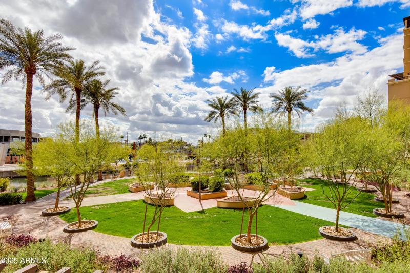 59-Camelback