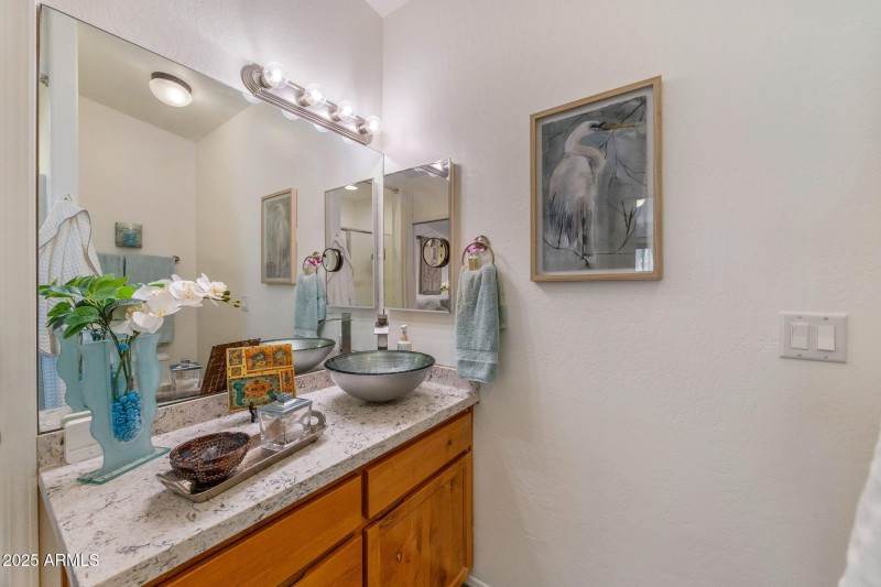 Guest bath with custom sink