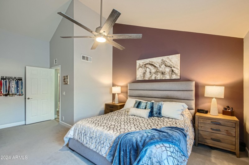 Primary w Vaulted Ceiling & Custom Paint