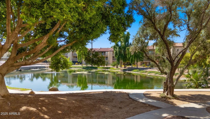 36-web-or-mls-DRONE8