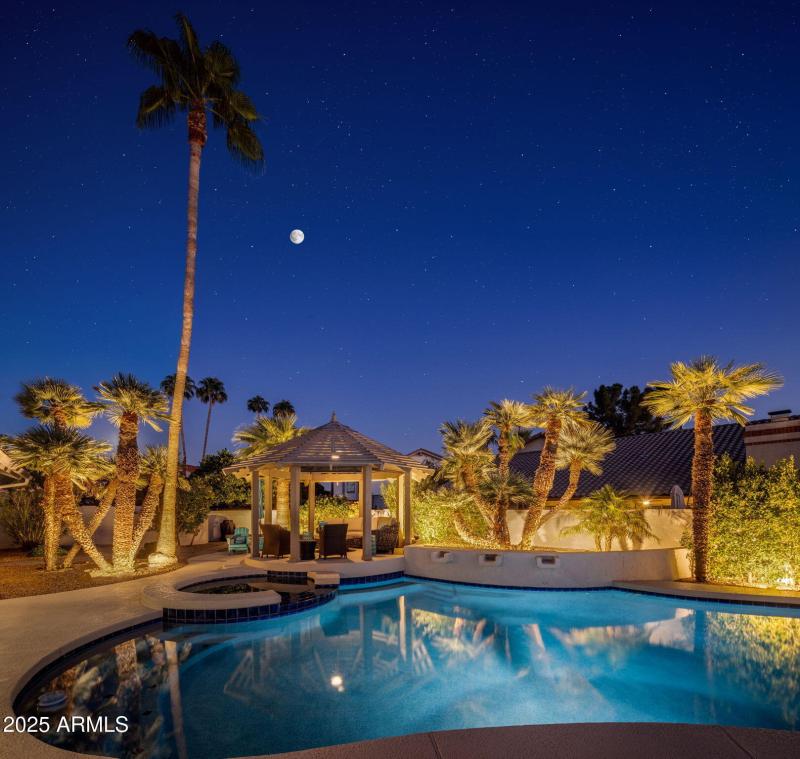Twilight backyard 2