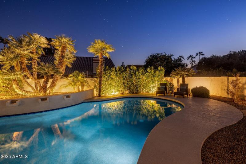 Twilight backyard 3