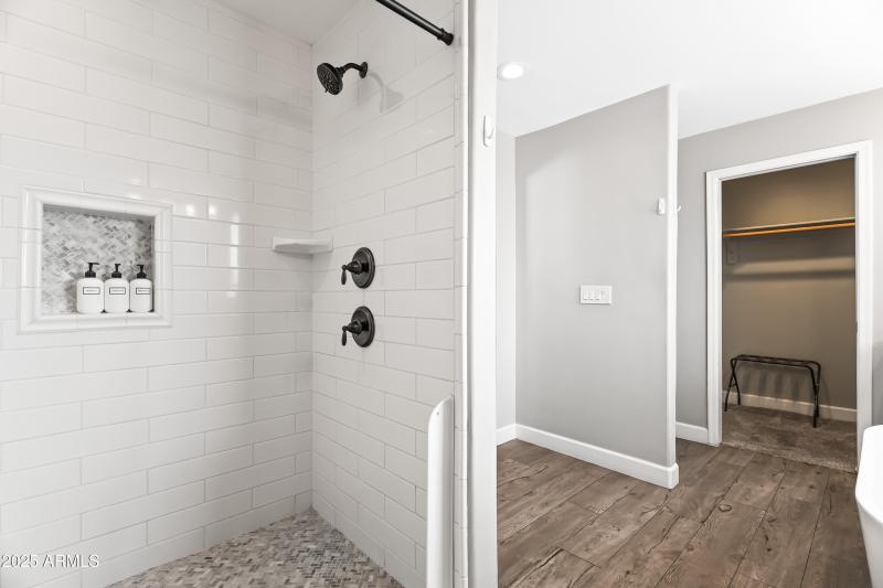 Primary Shower