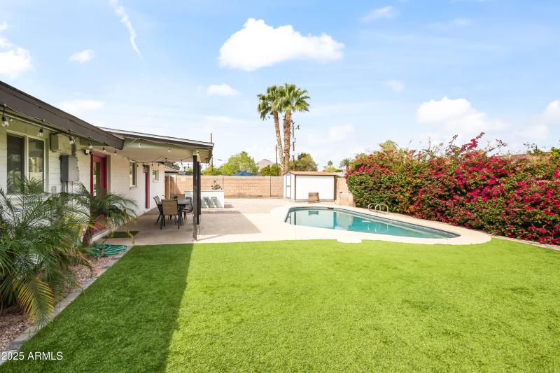 Backyard