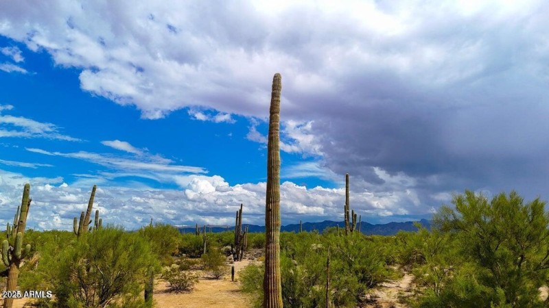 20251001070310145065000000-o