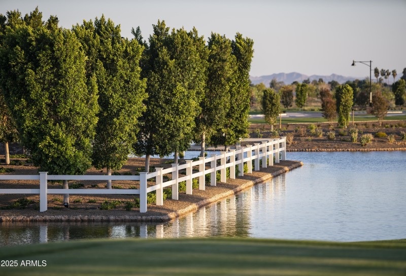 Sterling Grove Entry Landscaping