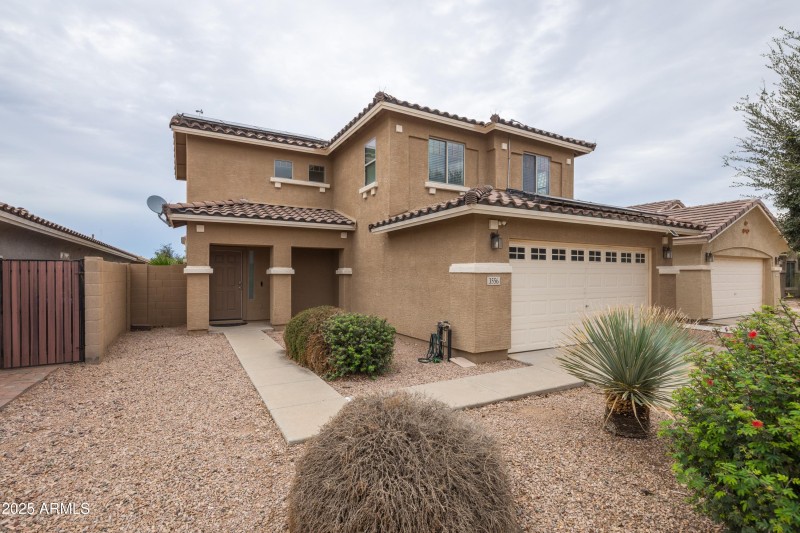 Low Maintenance Yard