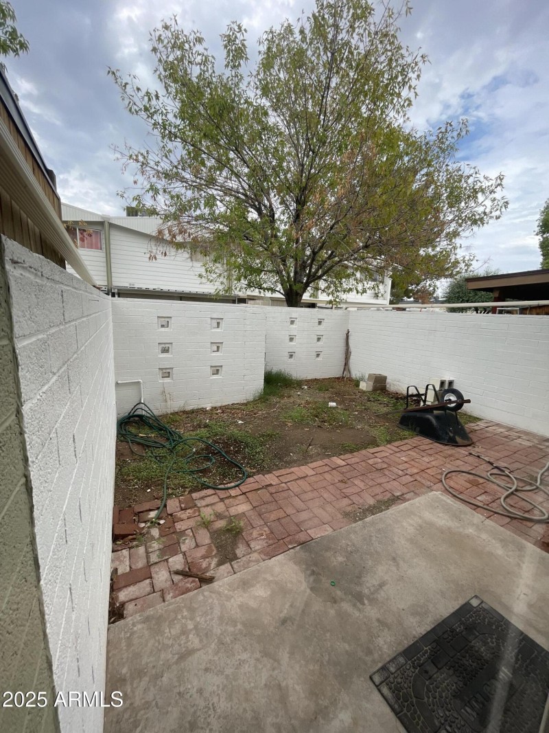 Back patio