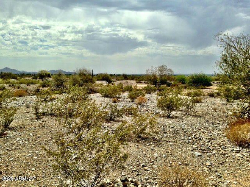 11222 S Wilson Lane Goodyear Lot View