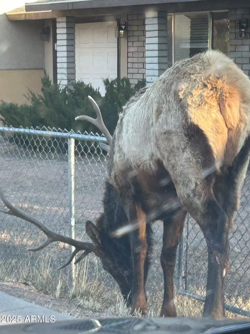 3bf80880711665039b2a11d462d55e4d