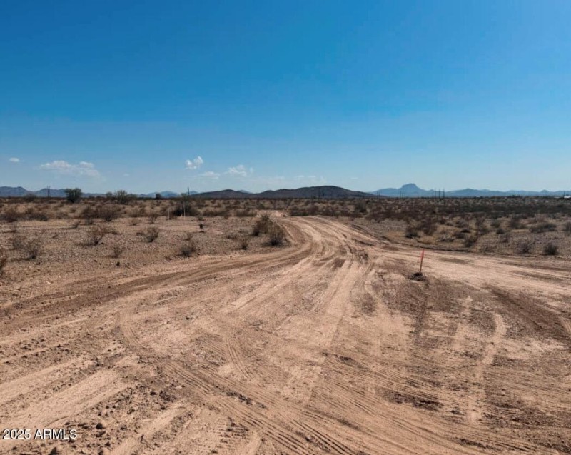 7841 S 343rd Dr pic4