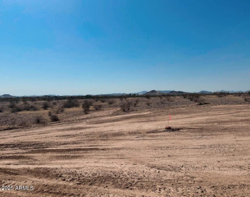 7841 S 343rd Dr pic3