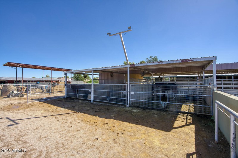 A few of the stalls.