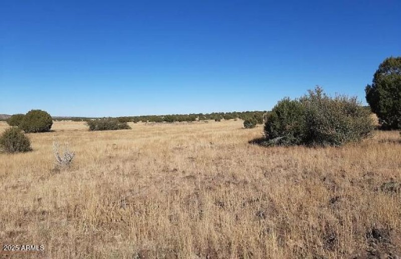 42700 W Hard Rock WAY