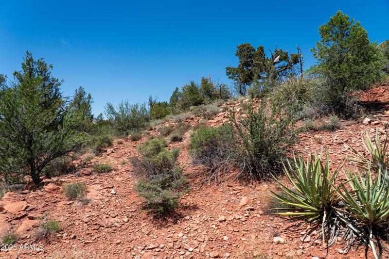 JL_3160TMR-ground-06