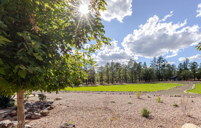 Ivory + Grace Branding-292