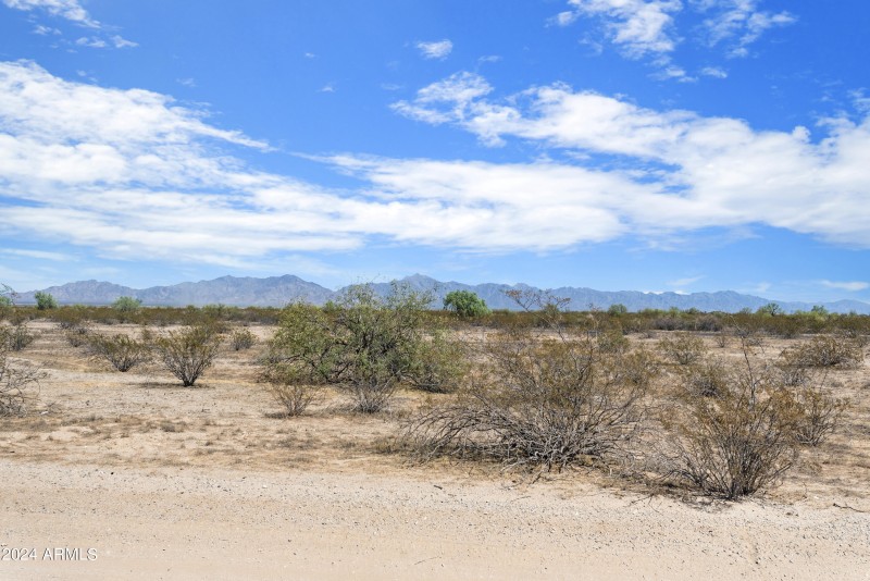 XXXX W Butterfly Lot 8 Road 8