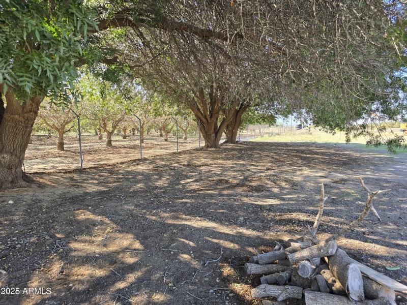 Shade for AZ Summers