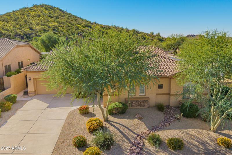 2 - Twisted Leaf Drone