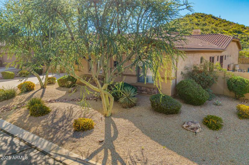 4 - Twisted Leaf Drone