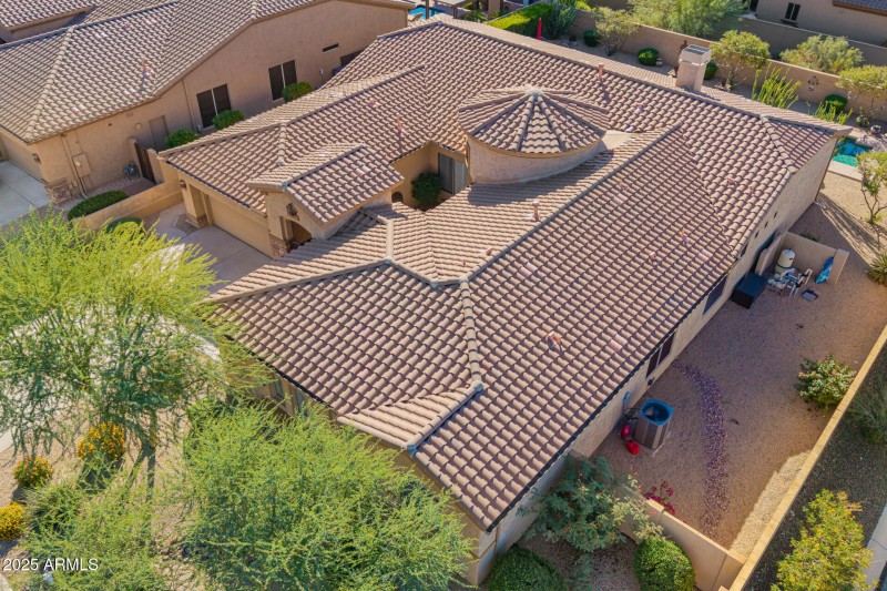 5 - Twisted Leaf Drone