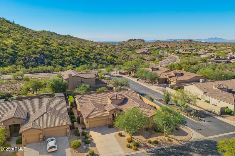 15 - Twisted Leaf Drone