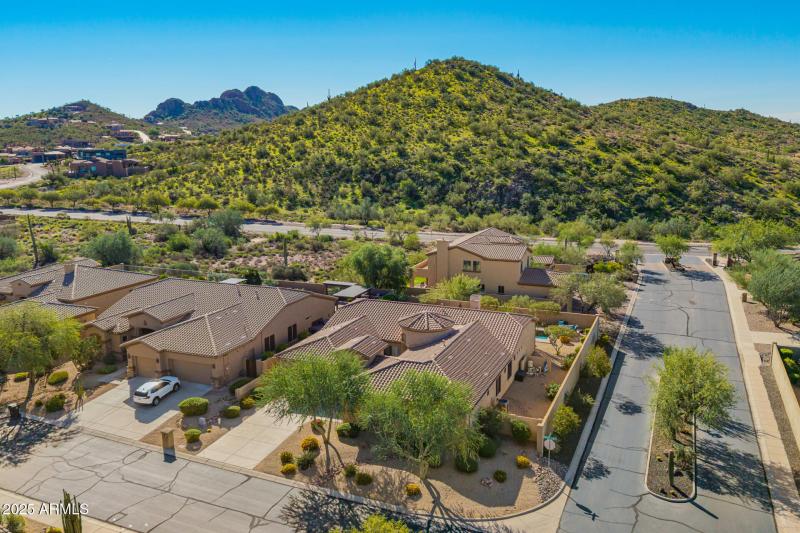 16 - Twisted Leaf Drone