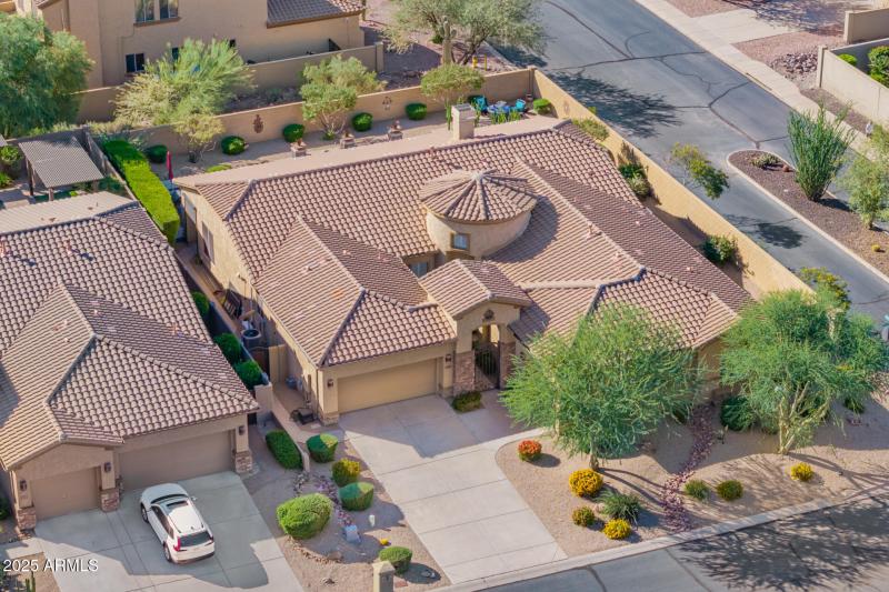 21 - Twisted Leaf Drone