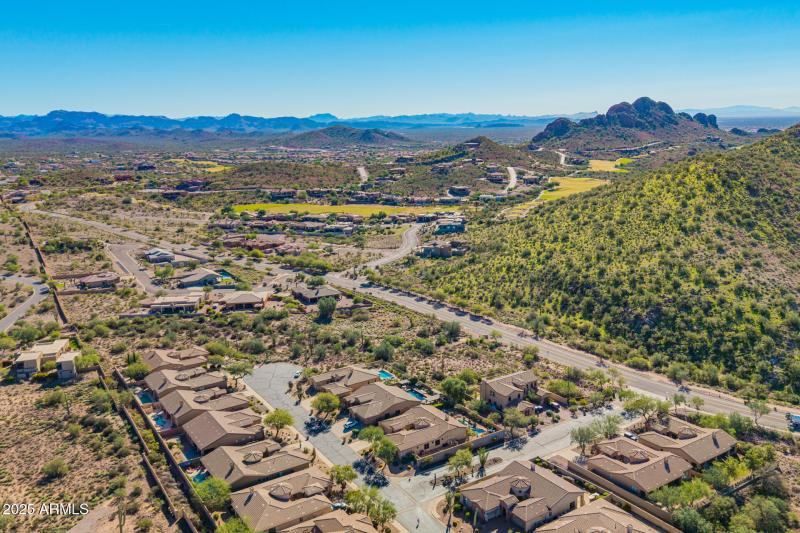 22 - Twisted Leaf Drone