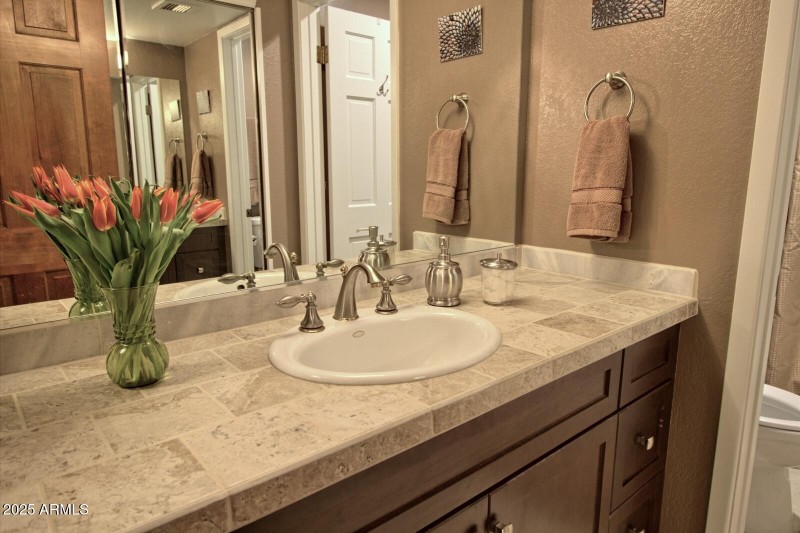 60 guest bath counter2