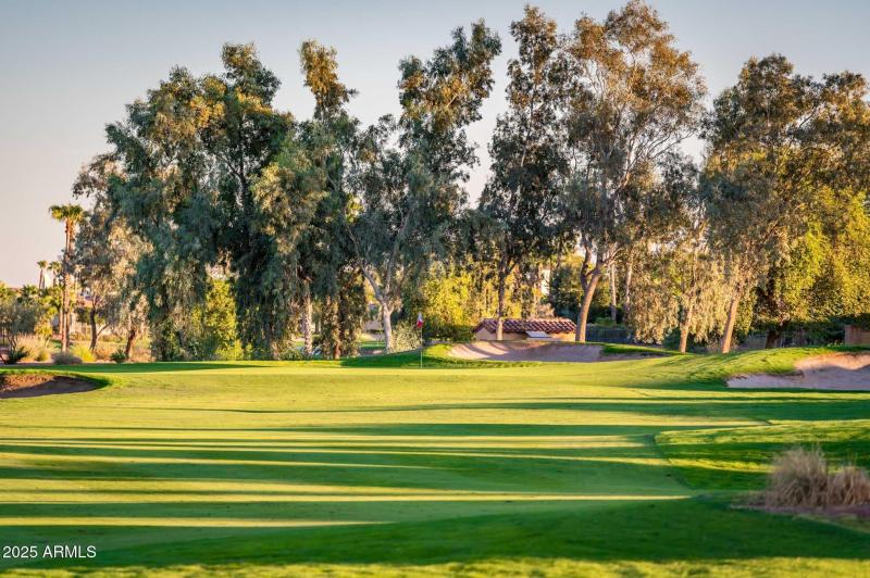 Auxiliary Golf Shots