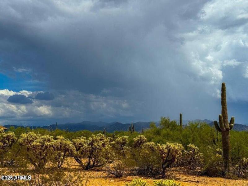 20251018022618868673000000-o