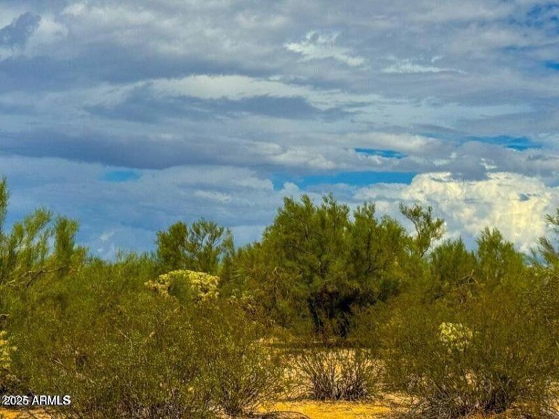 20251018022947417850000000-o