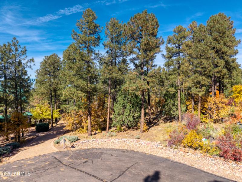 2189 CREEKSIDE CT 19, Pinetop, AZ 85935