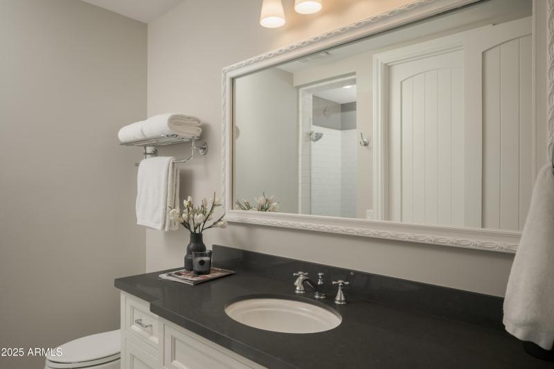 Guest Suite Bathroom IV