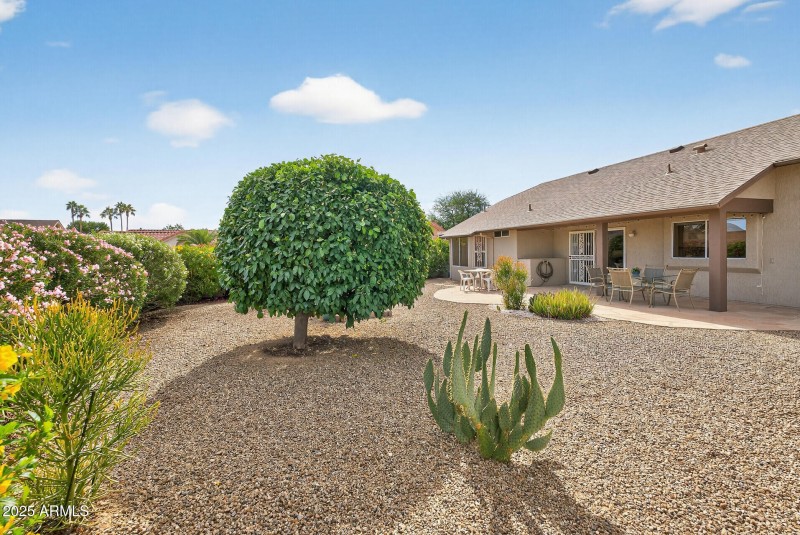 Mature landscape including citrus trees