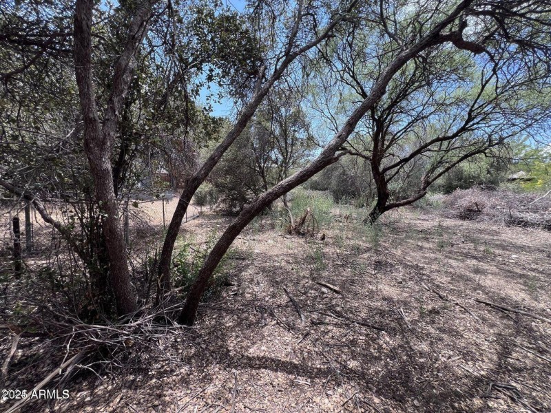 20240731013209130966000000-o