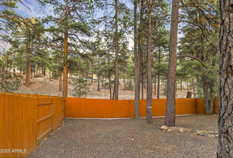 1128 N Flowing Springs Trl