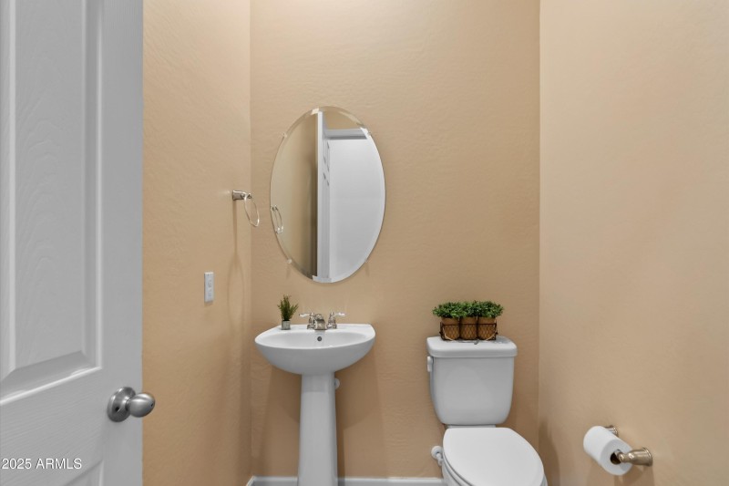 14-20251108-DSC09393