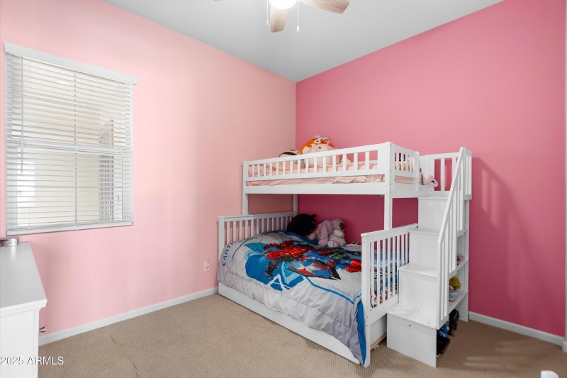 31-20251108-DSC09453